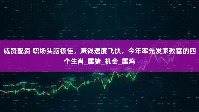 威贤配资 职场头脑极佳，赚钱速度飞快，今年率先发家致富的四个生肖_属猪_机会_属鸡