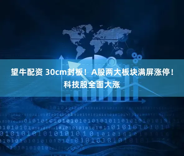 望牛配资 30cm封板！A股两大板块满屏涨停！科技股全面大涨